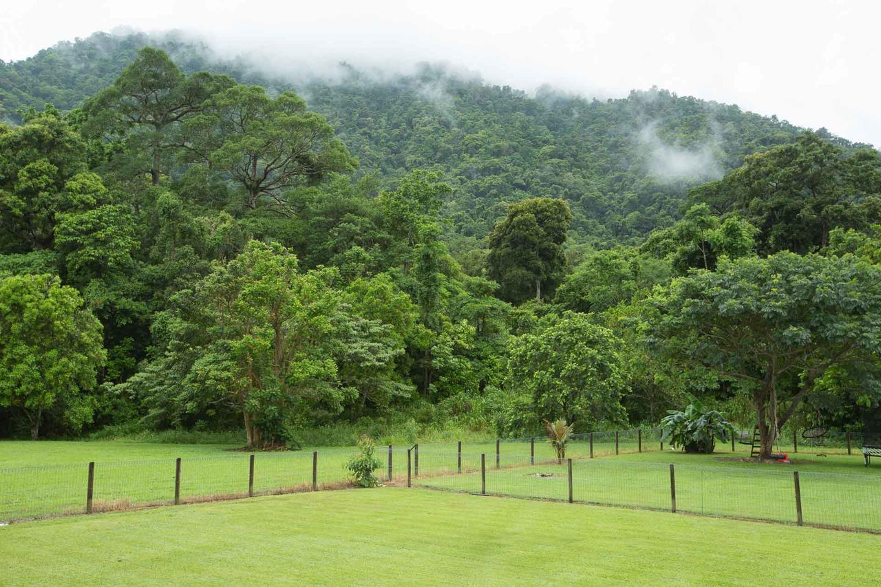 Cairns Homestead Redlynch Pet And Family Friendly Exterior photo